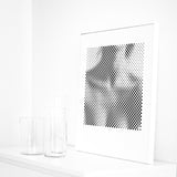 B6: The Voice |  Ltd. Ed.